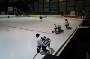 Mustangs002 